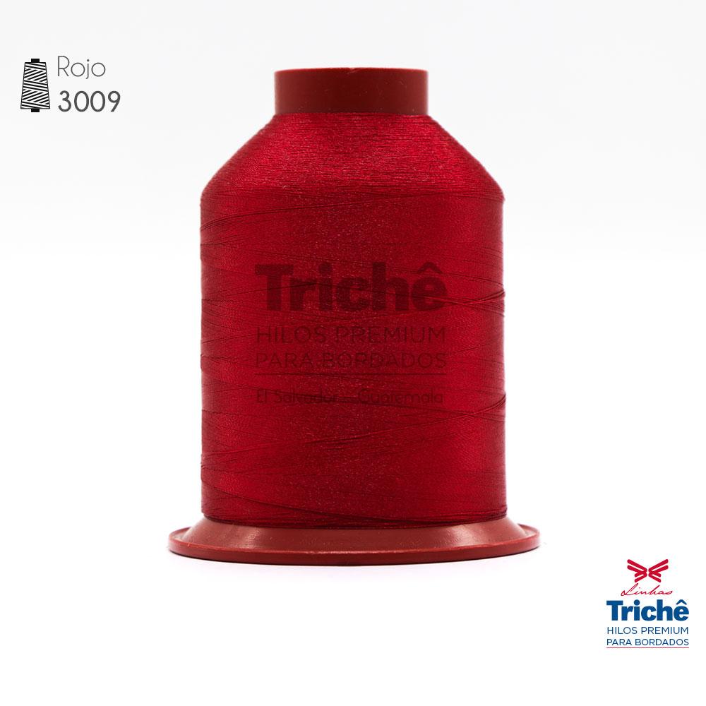Hilo para bordado 3009