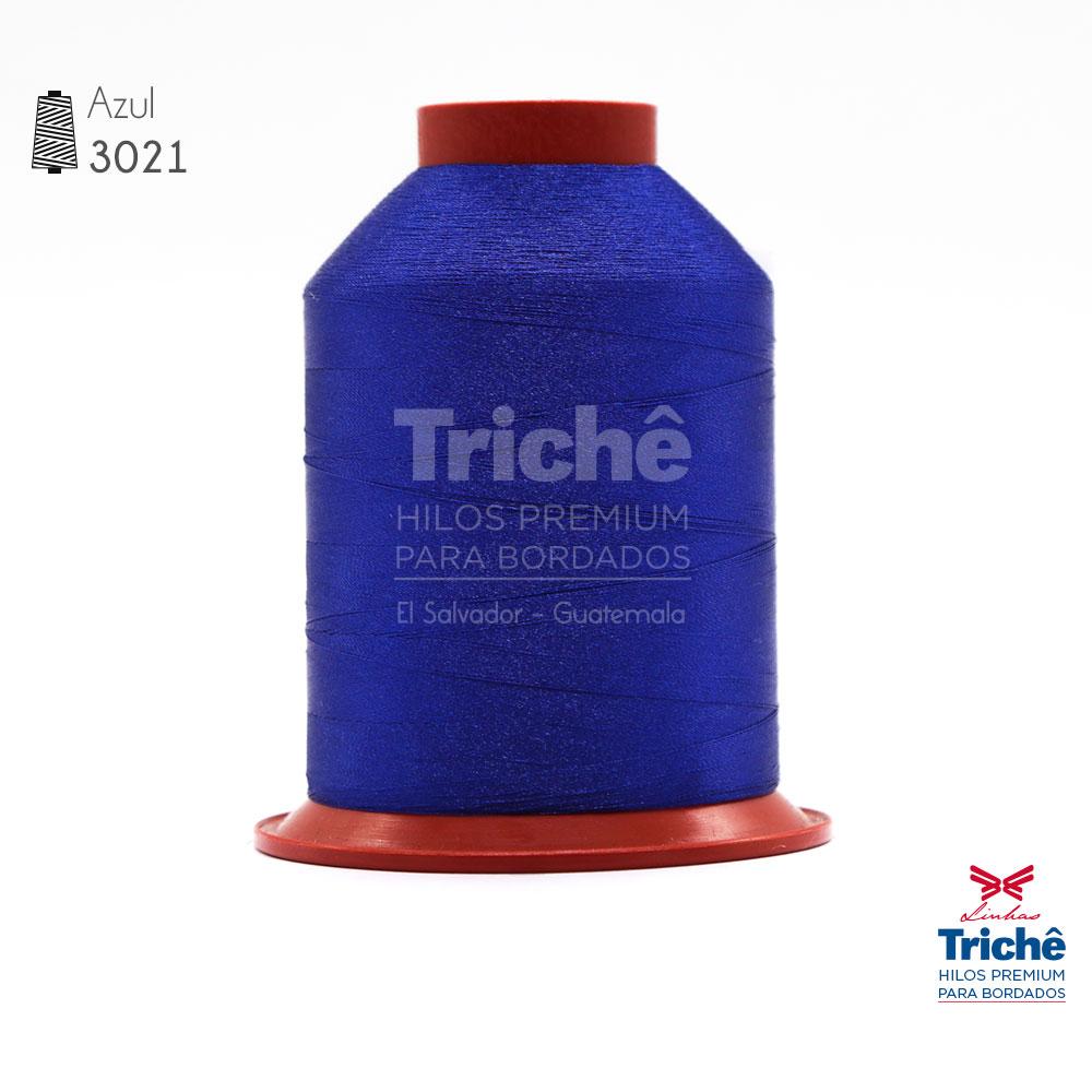 Hilo para bordado 3021