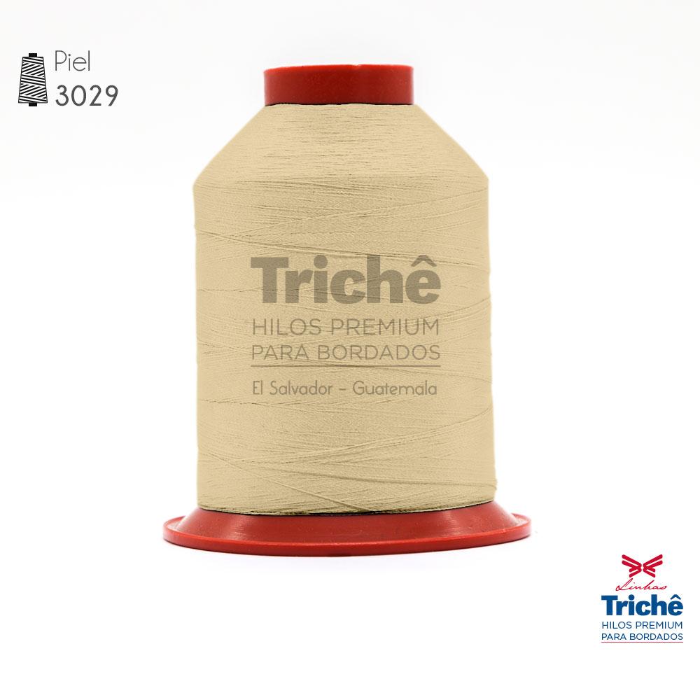 Hilo para bordado 3029