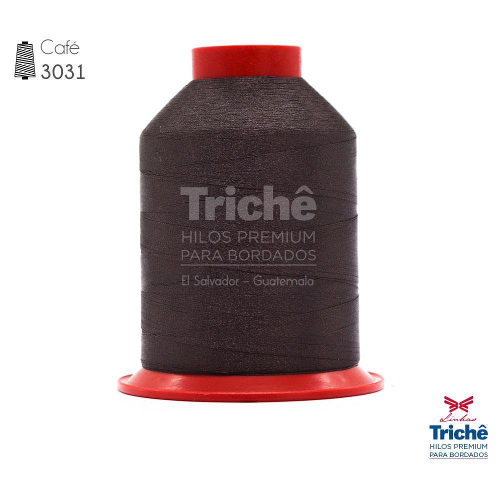 Hilo para bordado 3031