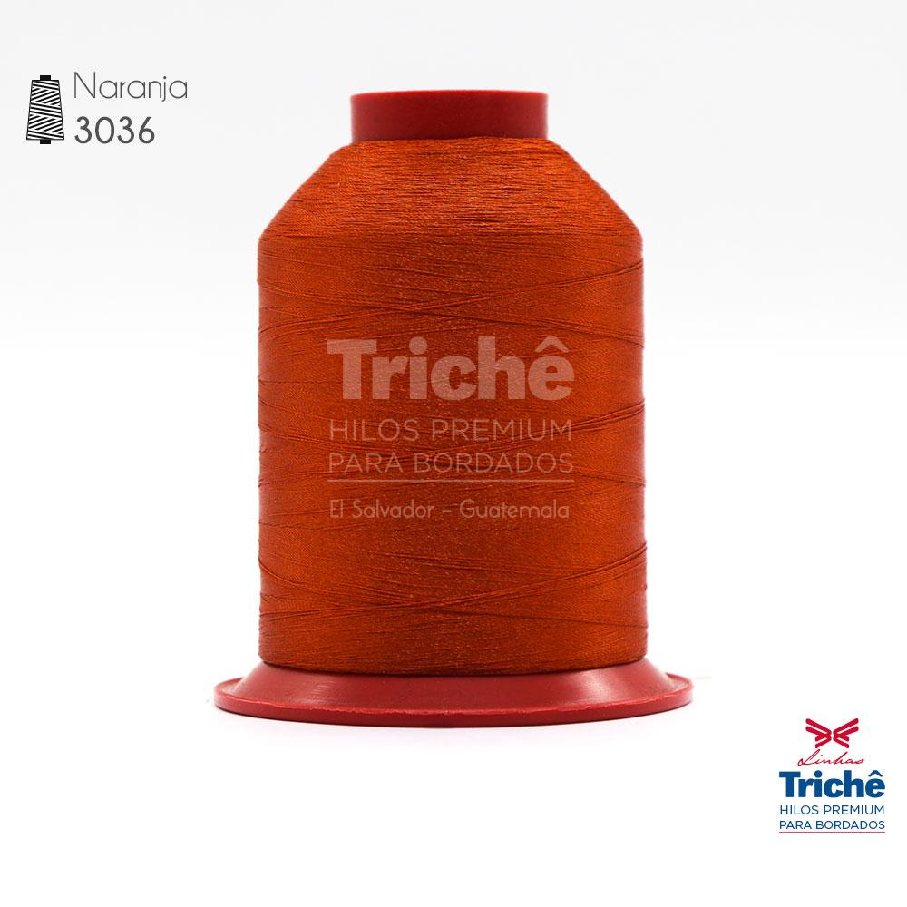 Hilo para bordado 3036