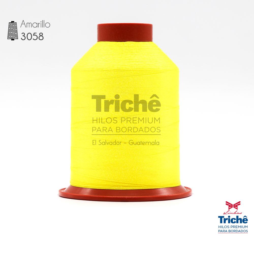 Hilo para bordado 3058
