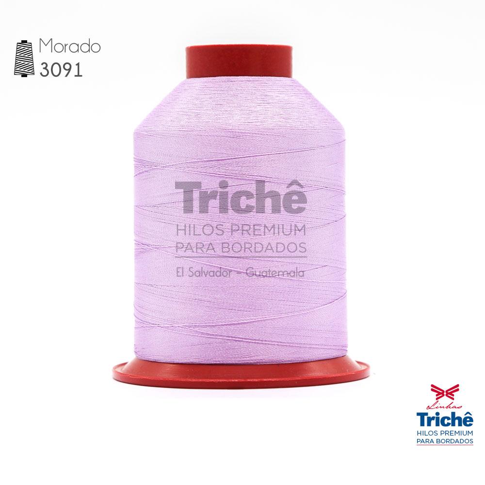 Hilo para bordado 3091