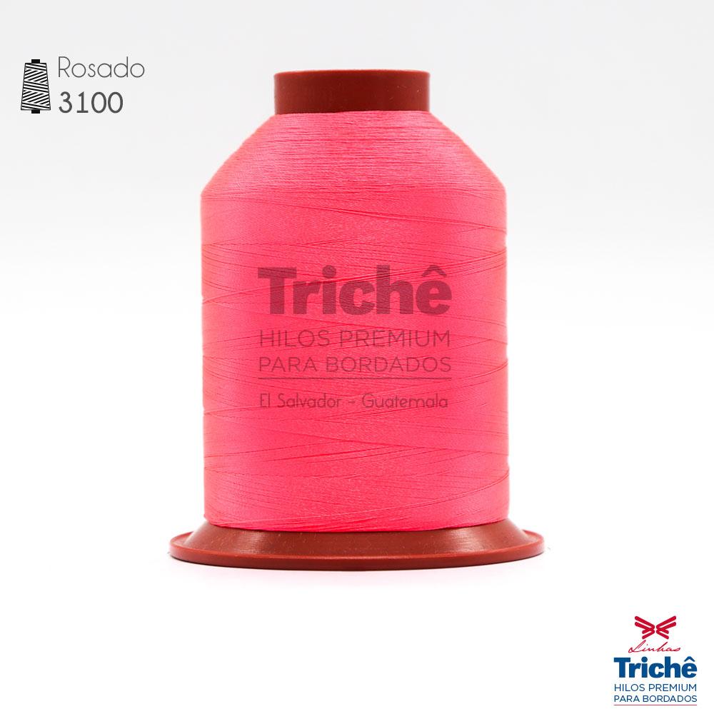 Hilo para bordado 3100