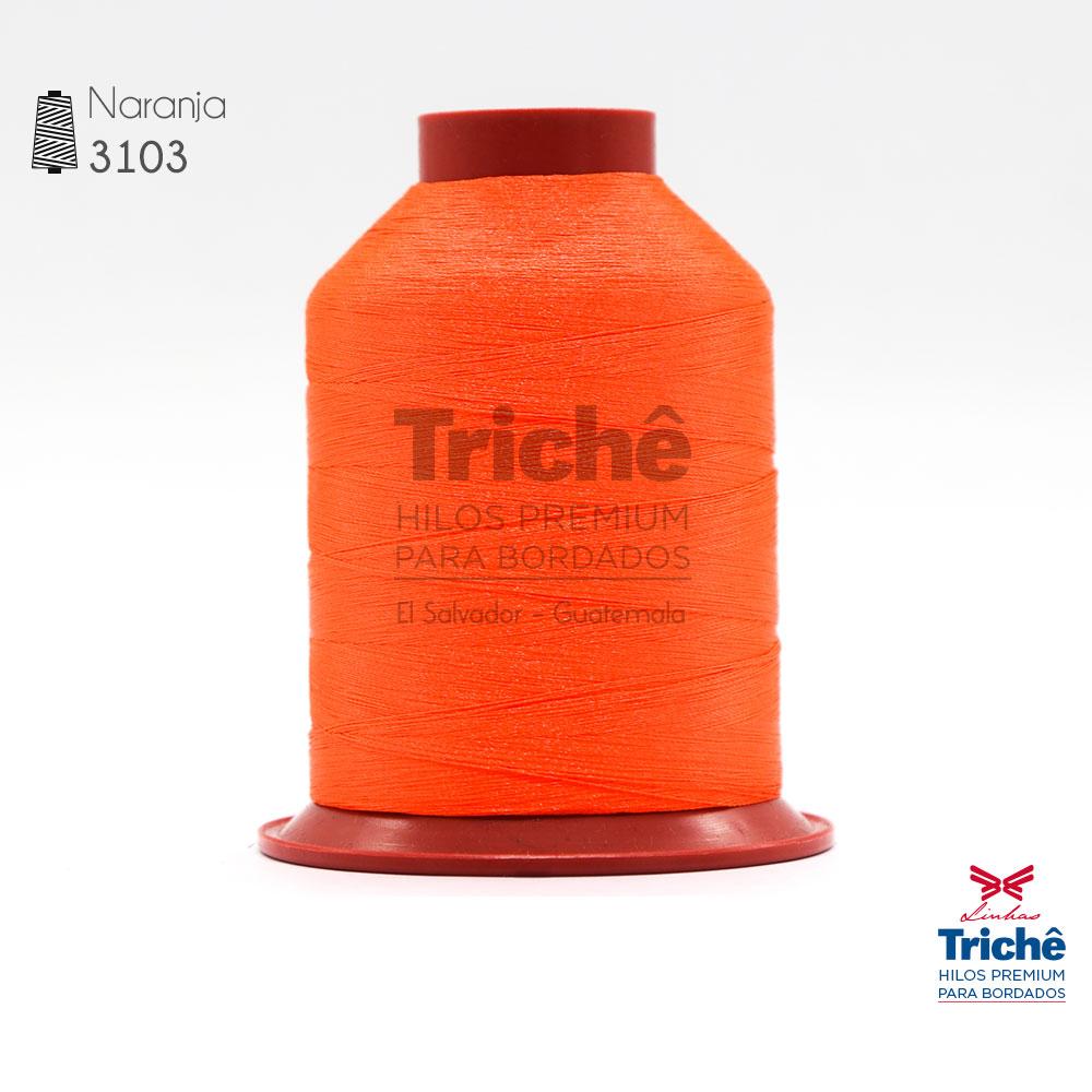 Hilo para bordado 3103