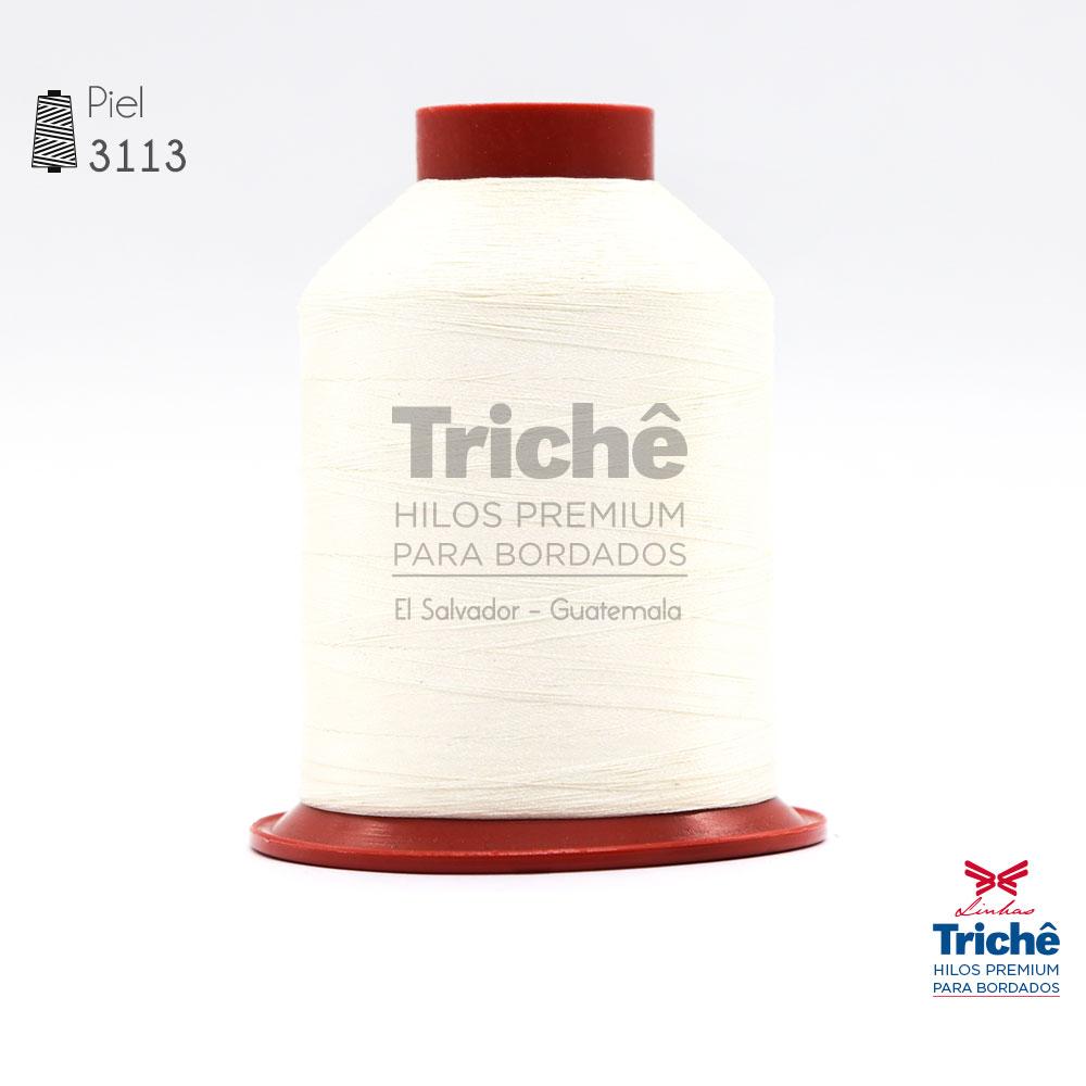 Hilo para bordado 3113
