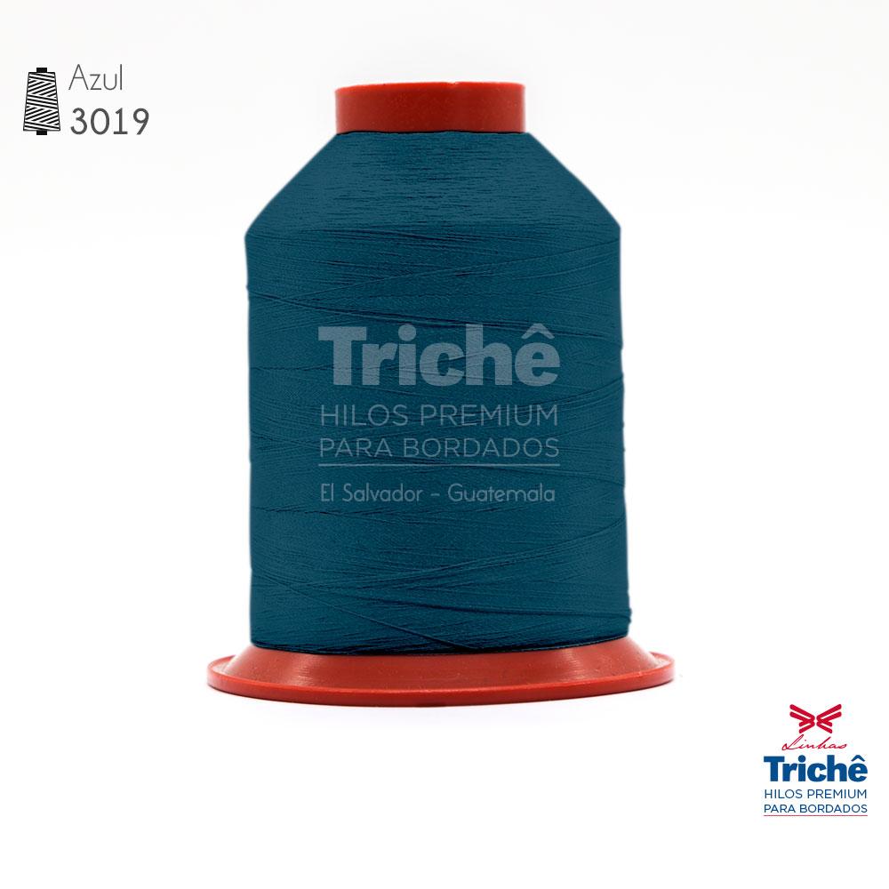 Hilo para bordado 3019