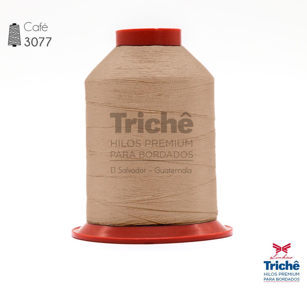 Hilo para bordado 3077