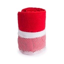 Toalla absorbente Gimnasio Mod. 4567